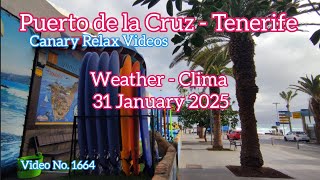 Tenerife 🏝️ Puerto de la Cruz Morning Weather 31 January 2025 Teneriffa