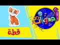 أصوات - قطة | قناة بلبل BulBul TV