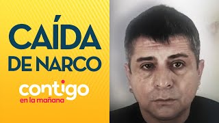 "EL HORMIGA": La caída del narco más importante de Santiago - Contigo en la Mañana