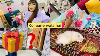 Makasa ko GIFT 🎁  Diya + Koi Aane Wala Hai Ghar | Mahjabeen Ali Vlogs