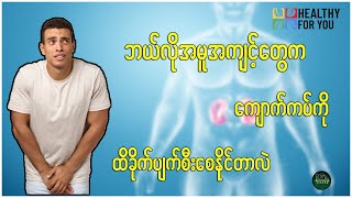 ဘယ်လိုအမူအကျင့်တွေက ကျောက်ကပ်ကို ထိခိုက်ပျက်စီးစေနိုင်တာလဲ ( Healthy For You Myanmar )