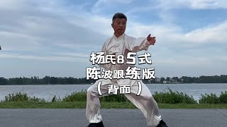 传统杨氏太极拳85式｜陈波老师演练完整版（背面）｜Yang-style Tai Chi 85 Form