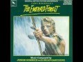The Emerald Forest by Junior Homrich & Brian Gascoigne (1985)