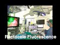 RECTOCELE repair by FLUORESCENCE GUIDED Transvaginal Approach