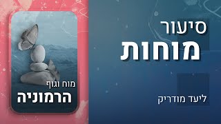 סיעור מוחות | פרק 20: רשתות מוחיות. אורחת: ד\