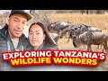 EXPLORING TANZANIA'S WILDLIFE WONDERS: A SAFARI IN NGORONGORO CRATER & TARANGIRE NATIONAL PARK