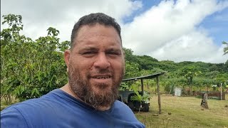 What do we do on 4 acres! (Off Grid in Tonga Island 🏝 ) Eua.