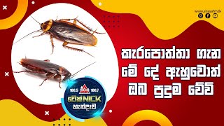 කැරපොත්තා ගැන මේ දේවල් ඇහුවොත් ඔබ පුදුම වේවි.. | Sirasa FM Tech Nick Hendawa