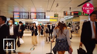 Japan | Walking in underground shopping mall of \