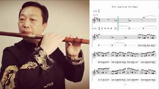 Dizi exercise thirteen D key dizi notation video and back track(how to play Chinese bamboo flute)