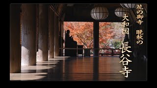 晩秋の花の御寺大和国「長谷寺」十一面観音特別拝観中