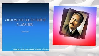 A bird & Firefly Poem By Allama Iqbal In English