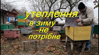 Чи потрібне утеплення бджіл в зиму???