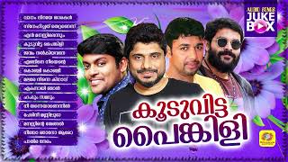 Kooduvitta Painkili | Superhit Mappilappattu Album Audio Jukebox | Afsal | Vidhu Prathap | Shafi