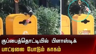 குப்பைத்தொட்டியில் பிளாஸ்டிக் பாட்டிலை லாவகமாக போடும் காகம்