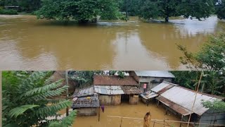 June 20th pringni bako blongen chi dalbajok ||  Goalpara district Assam || @Karanmrk