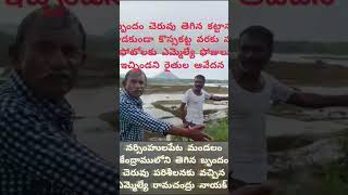 మా బాధలు పట్టించుకోని ఎంఎల్ఏ | నర్సింహులపేట రైతుల ఆవేదన | #explore #shorts #viralvideos #trending