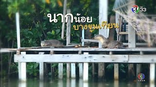 ทุ่งแสงตะวัน | ตอน นากน้อย บางขุนเทียน | 03-11-61 | Ch3Thailand