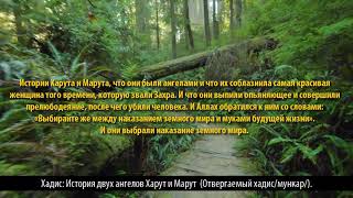 Ложная история о двух ангелов Харут и Марут  (хадис/мункар) / Мухтар абу Марьям