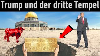 Endzeit-News ➤ Das Datum für den dritten Tempel | Trump als Messias verehrt!