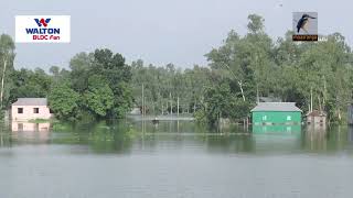 বন্যা আক্রান্ত ৫ জেলায় দুর্ভোগ কমেনি মানুষের | Flood News | Maasranga News