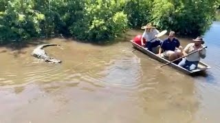 Getting a Big Red Ball back from 150 HUNGRY ALLIGATORS!