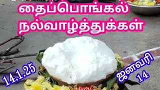 தைப்பொங்கல் வந்துட்டாளே கலர் கலர கொலை வரையில் ஆகலாமா பாருங்கTirupur Eswaran  Easwaran