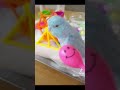 【マメルリハ】ガラガラの音マネをするラリマーちゃん マメルリハ マメルリハインコ インコのおもちゃ 癒し 可愛い ガラガラ おすすめにのりたい lovebird parrotlet