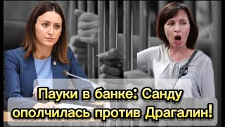 Пауки в банке: Санду ополчилась против Драгалин!