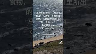 马太福音‬ ‭4:4‬（CUNPSS-神‬‬）#圣经 #经文 #耶稣