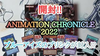 【遊戯王】　『ANIMATION CHRONICLE 2022』を開封