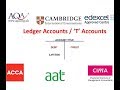 Double Entry Ledger 'T' Accounts