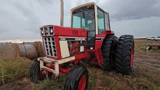 BigIron Auctions- Geihsler International 1586 Tractor- November 2023