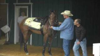 Preakness Stakes of 2009 featuring Mine That Bird.wmv