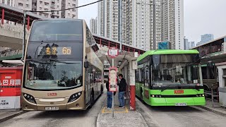 Hong Kong Bus KMB ATENU4 @ 6D 九龍巴士 Alexander Dennis Enviro500 MMC 牛頭角 - 美孚