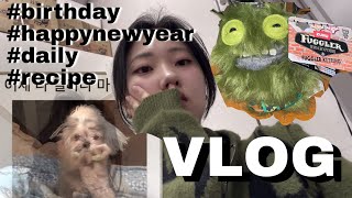 [VLOG] 새해 복 많이 받으쇼