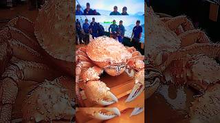 The biggest Crab 🦀⚠️ #viralshort #viralvideo #4u #foryou #viralvideos #skull #crab #biggest