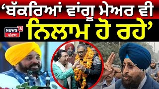 Partap Bajwa : ਬੱਕਰਿਆਂ ਵਾਂਗੂ ਮੇਅਰ ਵੀ ਨਿਲਾਮ ਹੋ ਰਹੇ | Phagwara News | Raja Warring| Congress | N18V