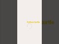 Modular Snowman Using Python Turtle #shorts