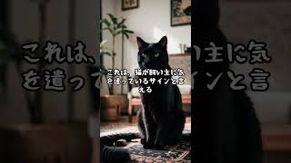 猫が飼い主にごめんなさいって言ってる3選　　　 #ショート　 #ショート動画