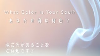 魂の色について「死後の世界が教える人生は何のためにあるのか」要約