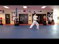 TAEGEUK  2 JANG SR.BLUE BELT POOMSAE VIDEO