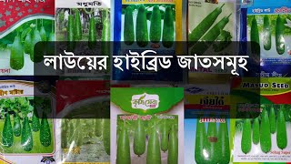 হাইব্রিড লাউয়ের জাত রিভিউ। Krishi Seba video |  আলী আকবর।