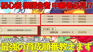 【キノコ伝説】初心者 中級者 微課金者に次ぐ！最強に効率がいい育成順番はこちら！改めて確認してここの育成忘れていませんか？