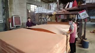 okume veneer plywood two times commercial ply for furniture and construction