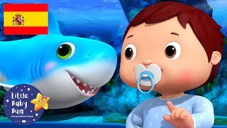 Canciones Infantiles | El Baile de Bebé Tiburón | Dibujos Animados | Little Baby Bum en Español