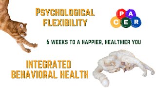 Psychological Flexibility 6 Weeks to a Happier You