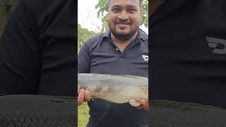 వామ్మో  అధి చేప నా లేధా చిన్న పిల్లోడా 🤯🐟 | BIG FISH CATCHED IN RIVER 🐟 #riverfishhunting #viral