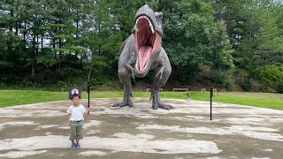 【福井県立恐竜博物館】期間限定の実物頭骨ブラックビューティーを観覧🦖