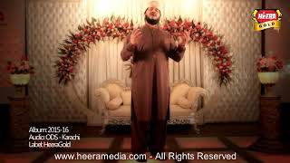 Zulfiqar Ali Hussaini-Dar e Nabi Per-Official video